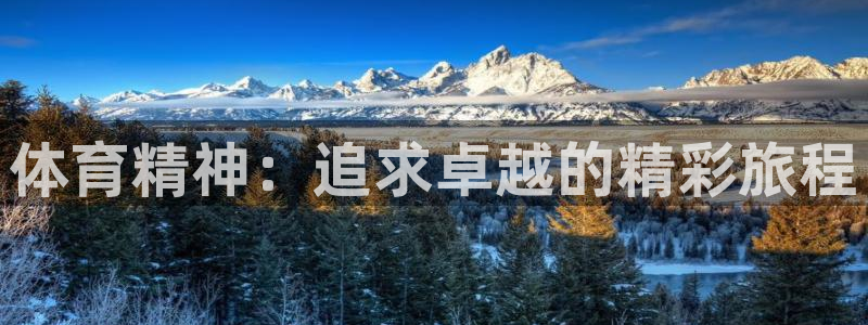 凯发官网下载软件:体育精神:追求卓越的精彩旅程